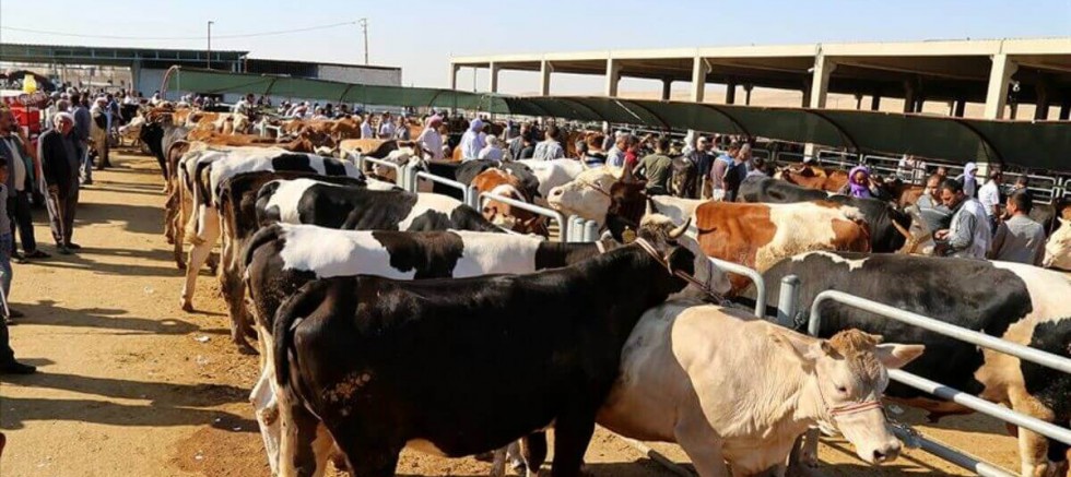 O ilimizde kurban pazarı kurulmayacak!