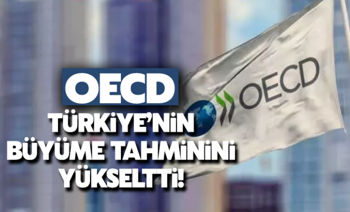OECD, Türkiye'nin büyüme tahminini yükseltti