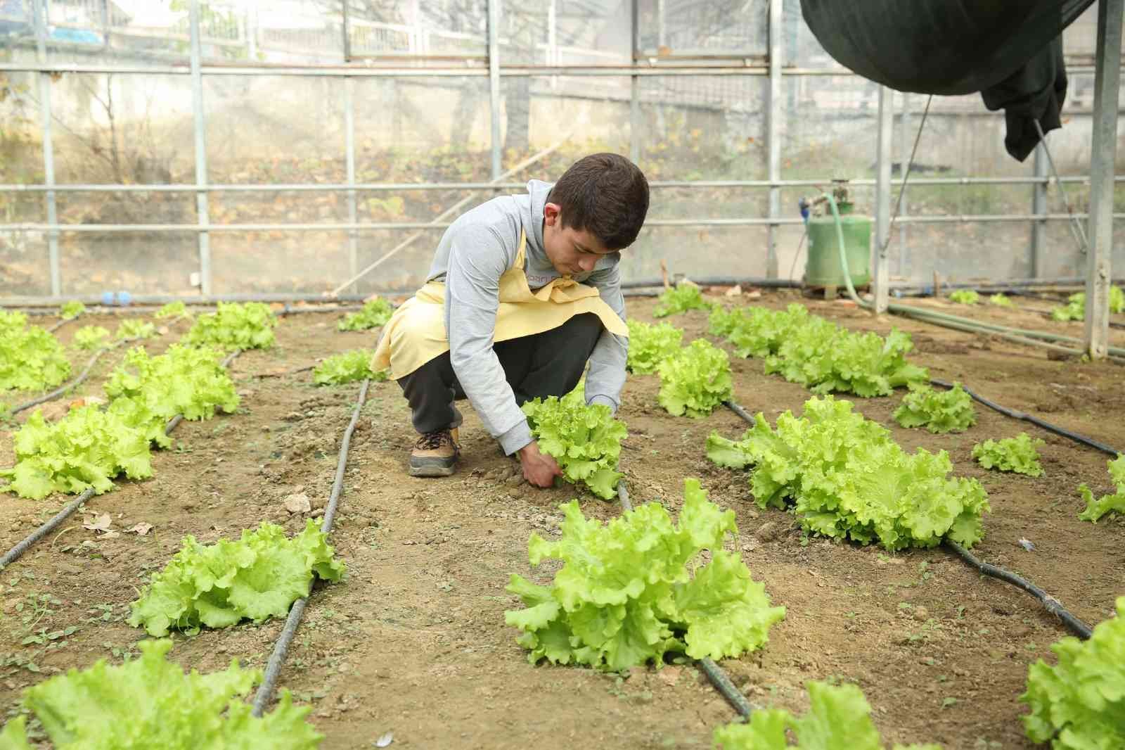 Öğrenciler Serada Yetiştirdikleri Ürünlerden Gelir Elde Ediyor