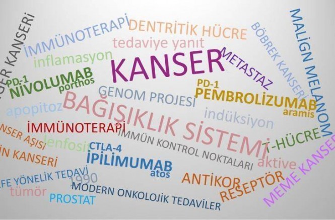 Onkolojik tedaviler kişiye özel tedavilere doğru evriliyor