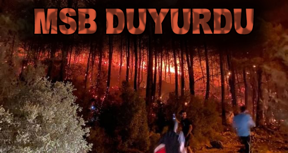 Orman Görevlisinin Üzerine Yanan Bir Ağaç Düştü