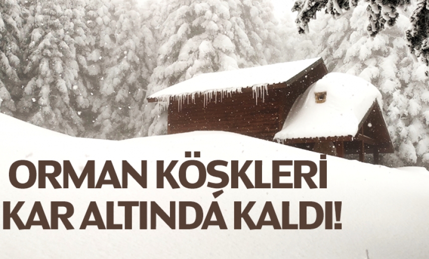 Orman Köşkleri Kar Altında Kaldı!