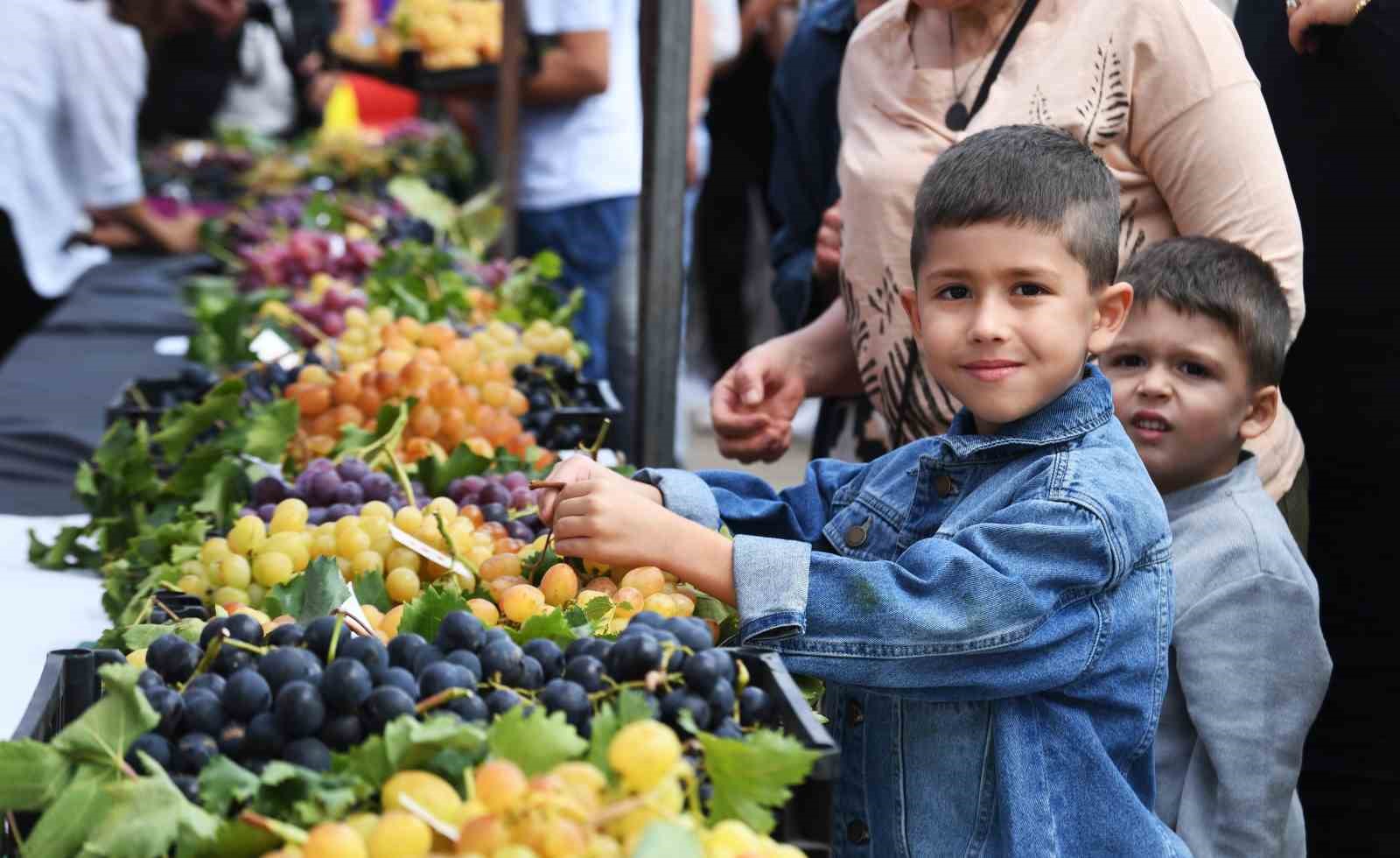 Osmangazinin En Güzel Üzümleri Seçildi