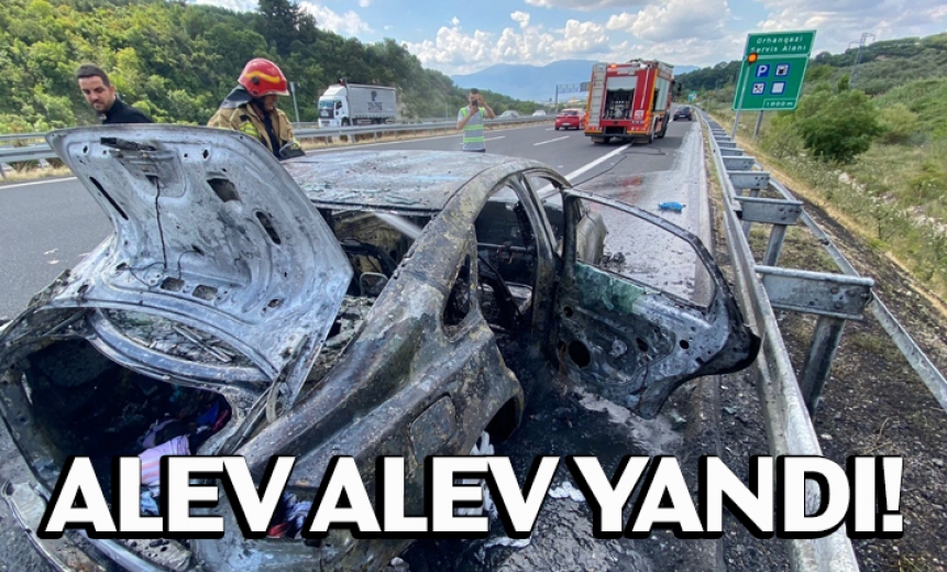 Otoyolda Otomobil Yangını