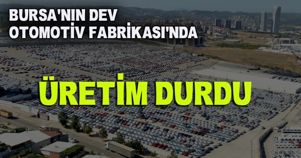 Oyak Renault'ta Üretim Durdu