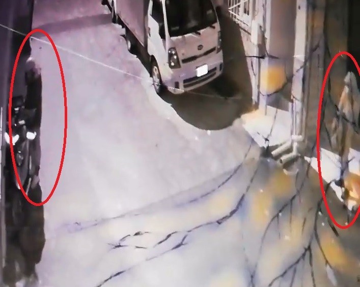 Balkondan Hırsızın Kafasına Tabak Yağdırdı