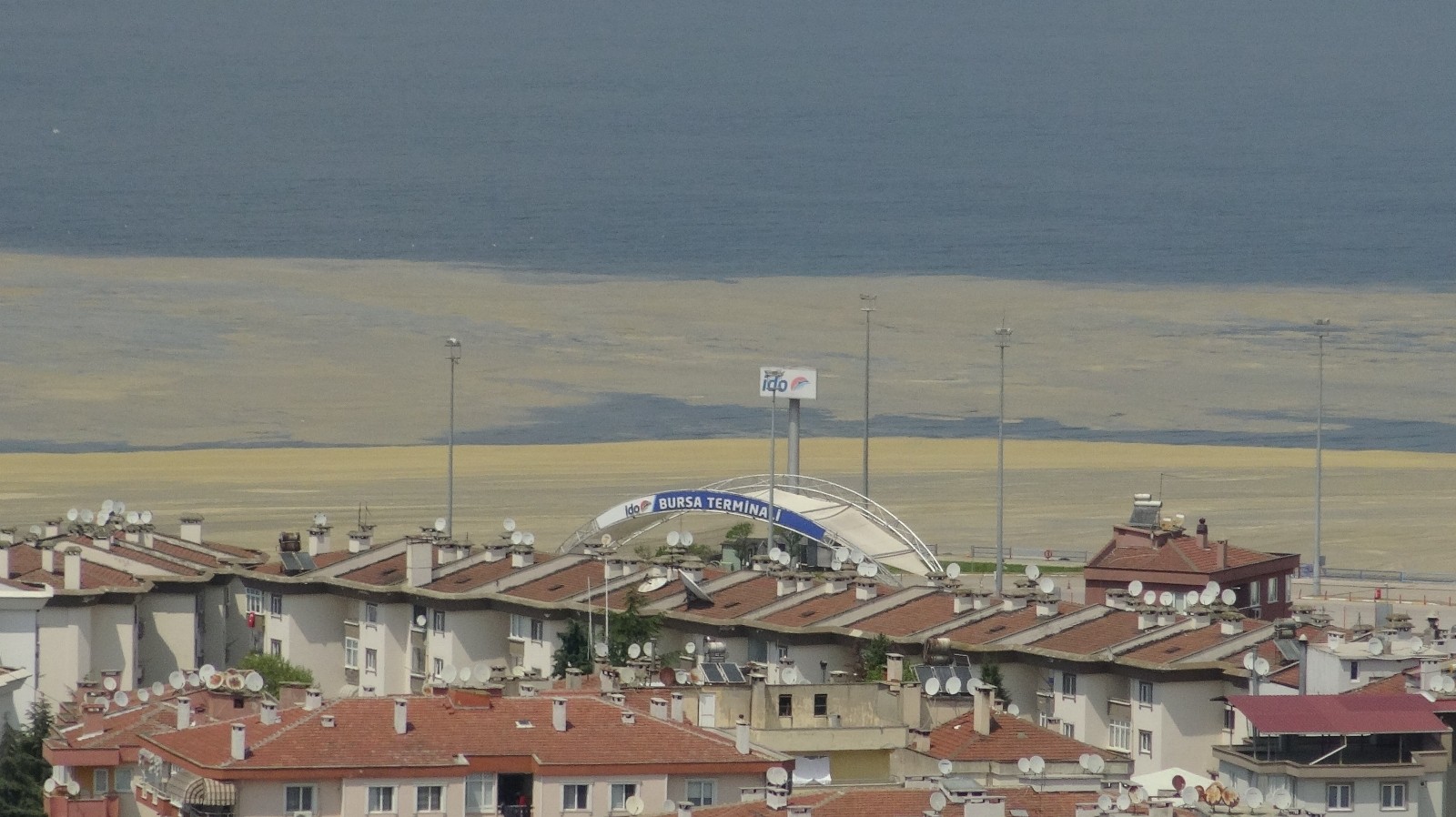 Mudanya Sahilleri de Deniz Salyası İle Kaplandı
