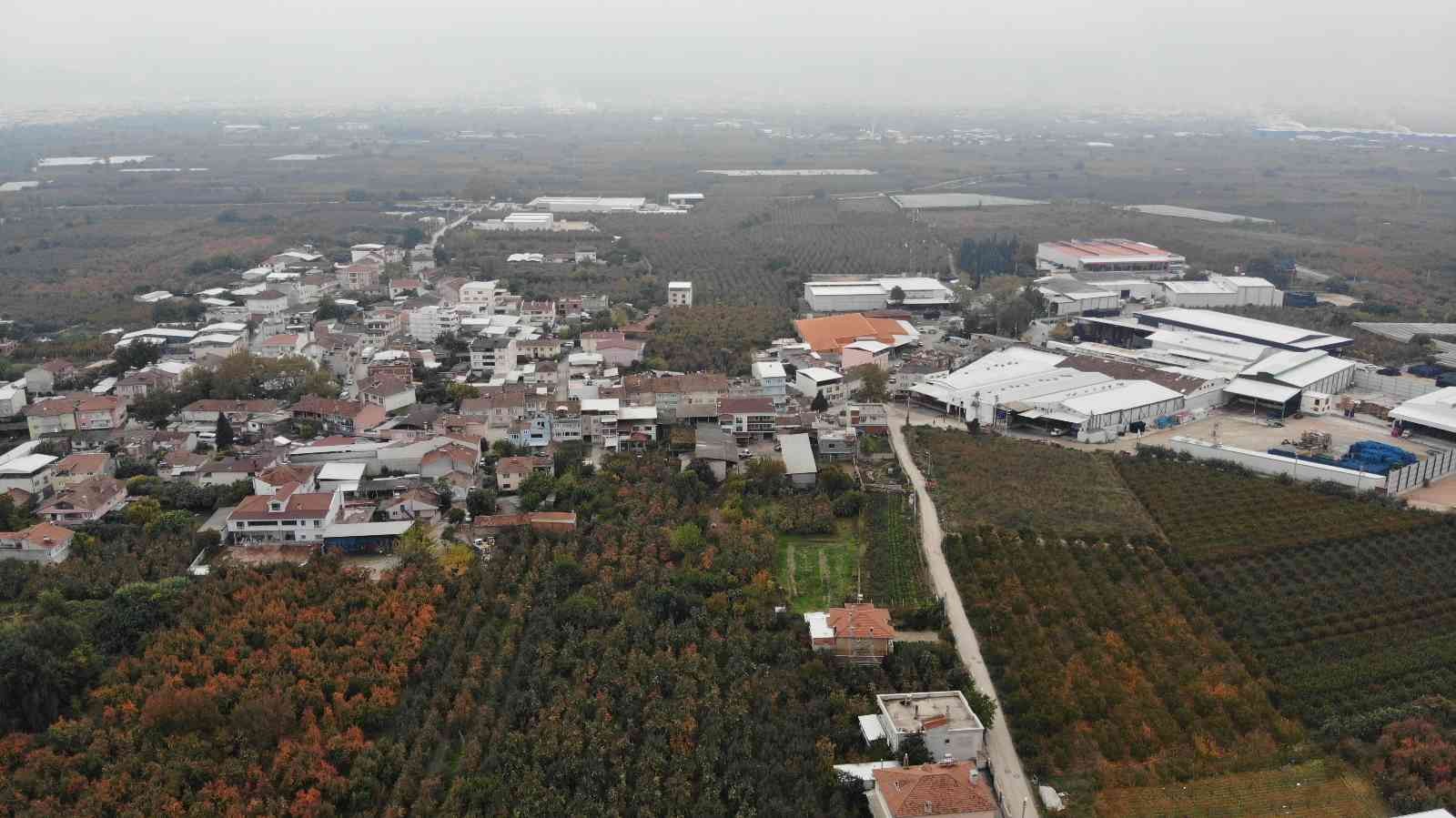 Türkiye'nin Meyve Ambarı