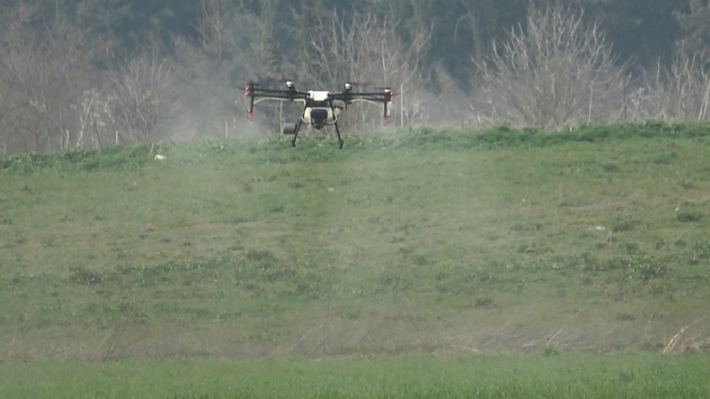 Üniversite'nin Buğdayları Drone İle İlaçlandı
