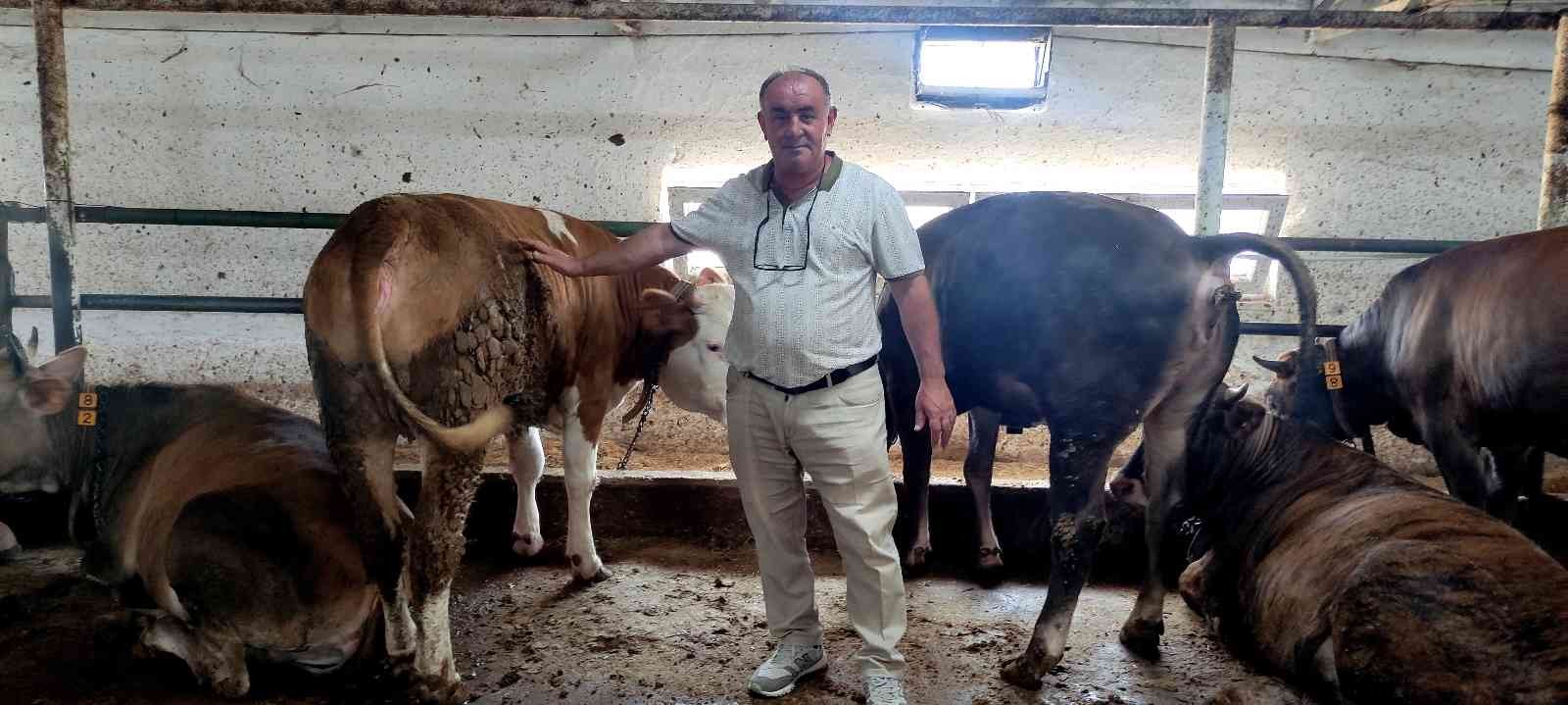 Özel Yemlerle Besliyor, 1 Yıl Önceden Sıraya Girenler Var