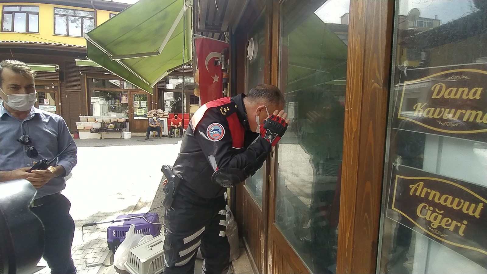 Pandemi Sebebiyle Kapalı Olan Lokantada Mahsur Kalan Kedileri Haydi Ekibi Kurtardı