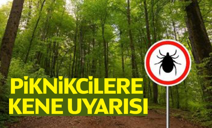 Piknikçilere Kene Uyarısı