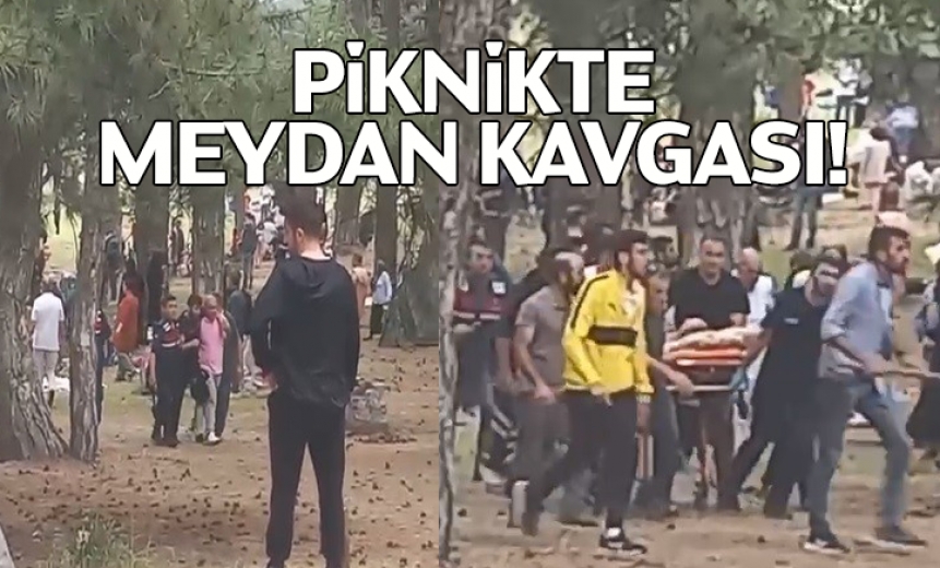 Piknikte Meydan Kavgası