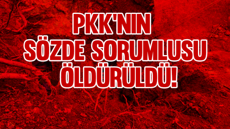 PKK'nın sözde sorumlusu öldürüldü!