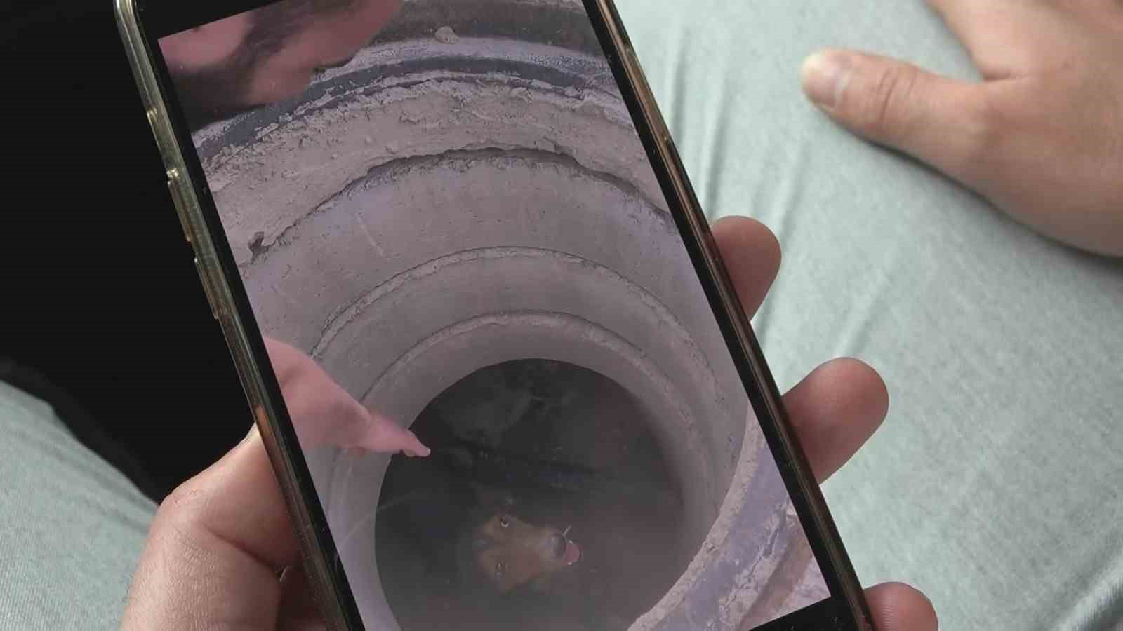 Rögara Düşen Köpeği Böyle Kurtardı...o Anları Anlattı