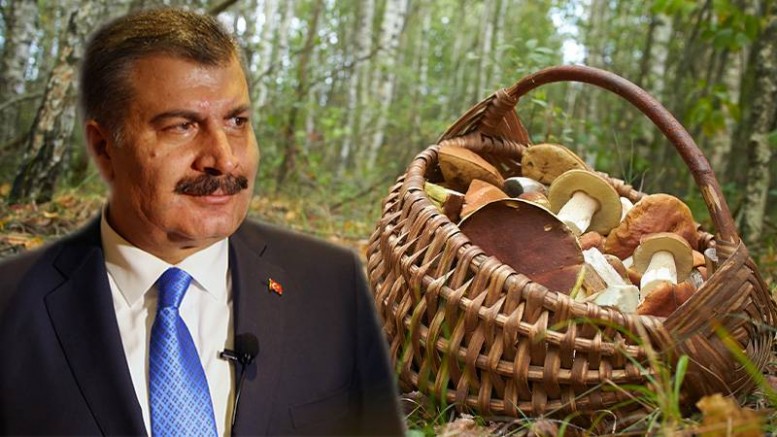Sağlık Bakanı Koca'dan mantar zehirlenmelerine karşı uyarı