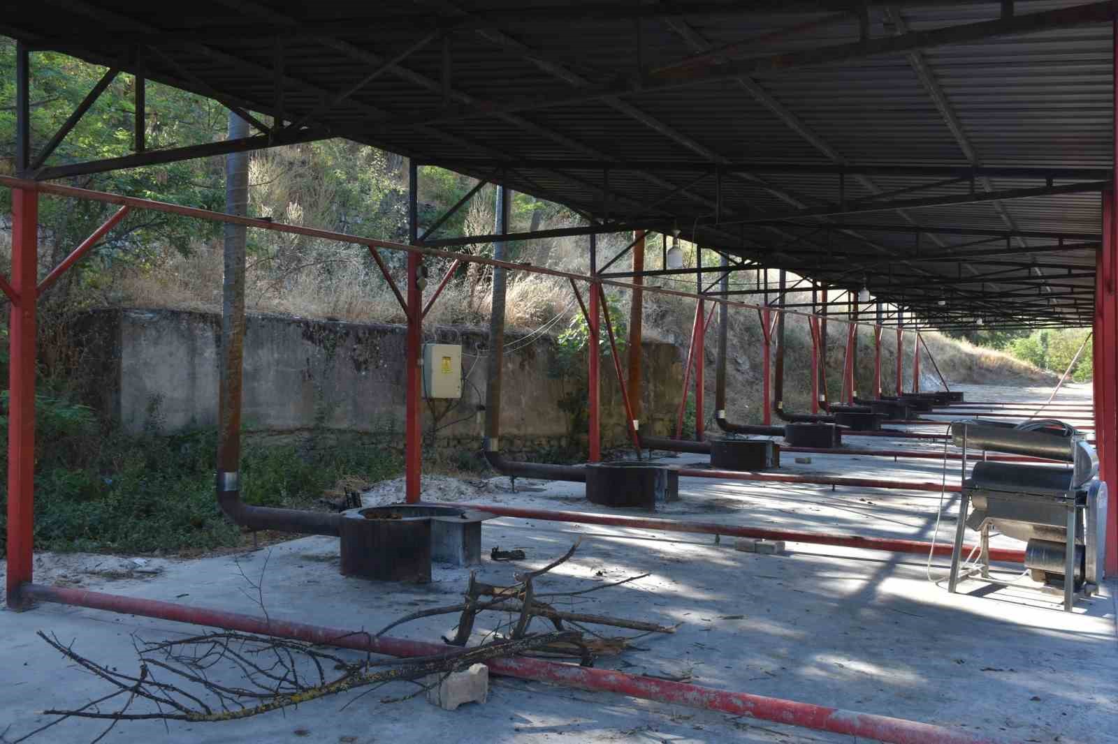 Salça Zamanının Yaklaşmasıyla Söğüt Belediyesi Hazırlıklarını Yaptı