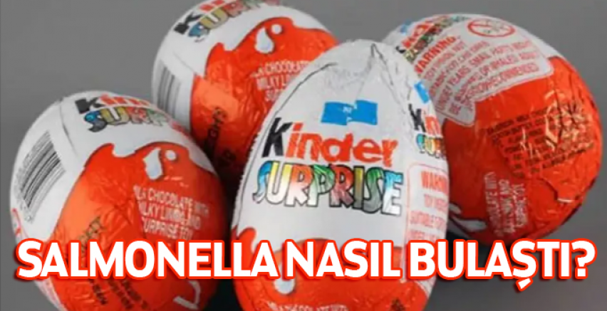Salmonella nasıl bulaştı?
