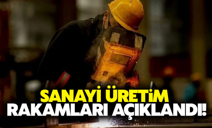 Sanayi üretim rakamları açıklandı