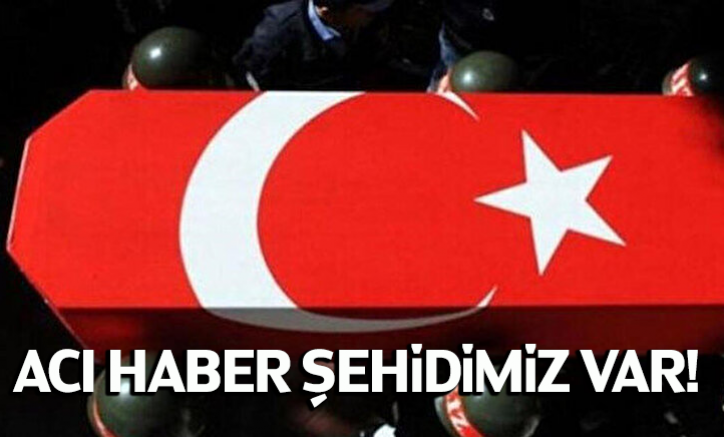 Şehidimiz var!