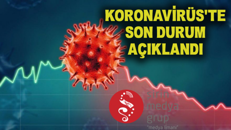 Son 24 Saat'te 339 Kişi Hayatını Kaybetti