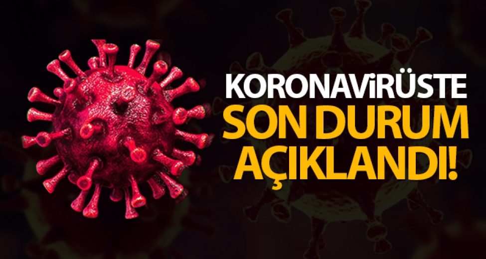Son 24 Saat’te 71 Kişi Hayatını Kaybetti