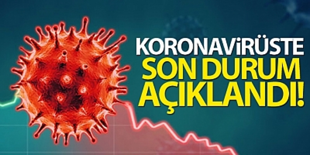 Son 24 Saat’te 86 Kişi Hayatını Kaybetti