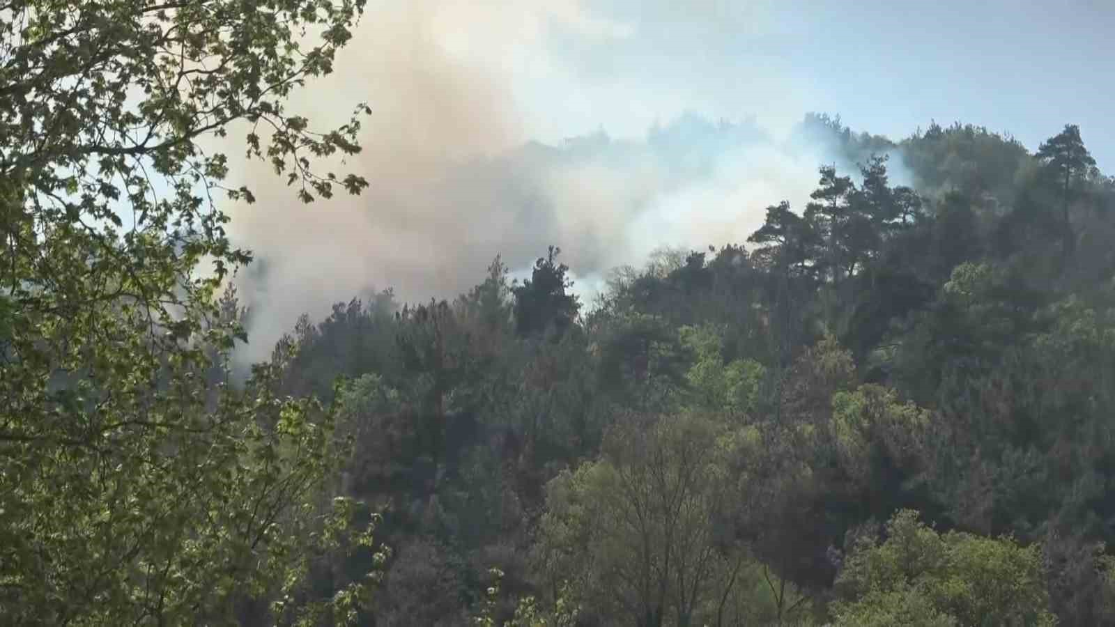 Bursada Ormanlık Alanda Çıkan Yangın Kontrol Altına Alındı