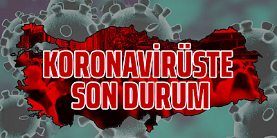 Koronavirüste Son Durum