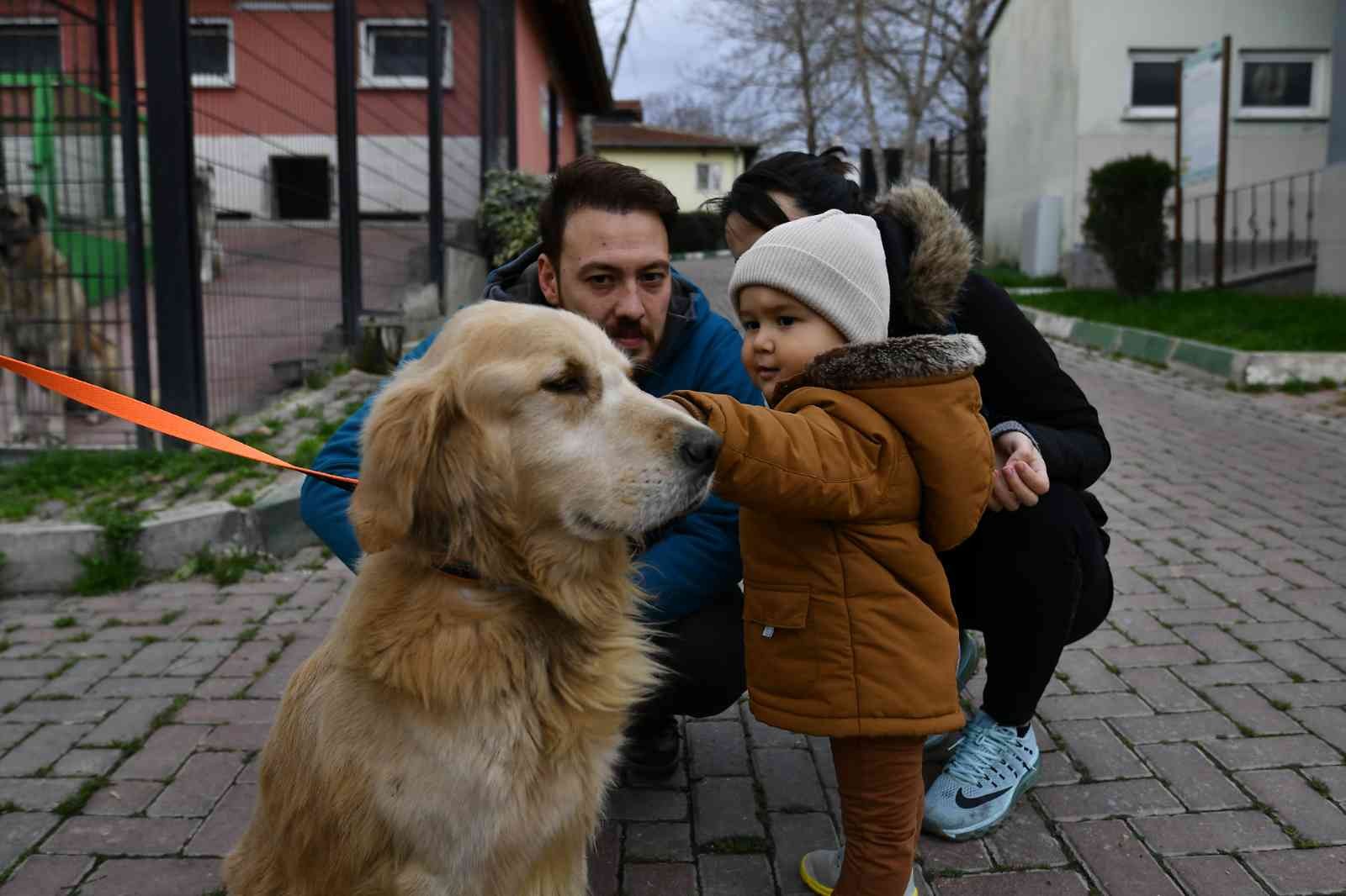 Osmangazide 78 Can Dost Sıcak Yuvaya Kavuşturuldu