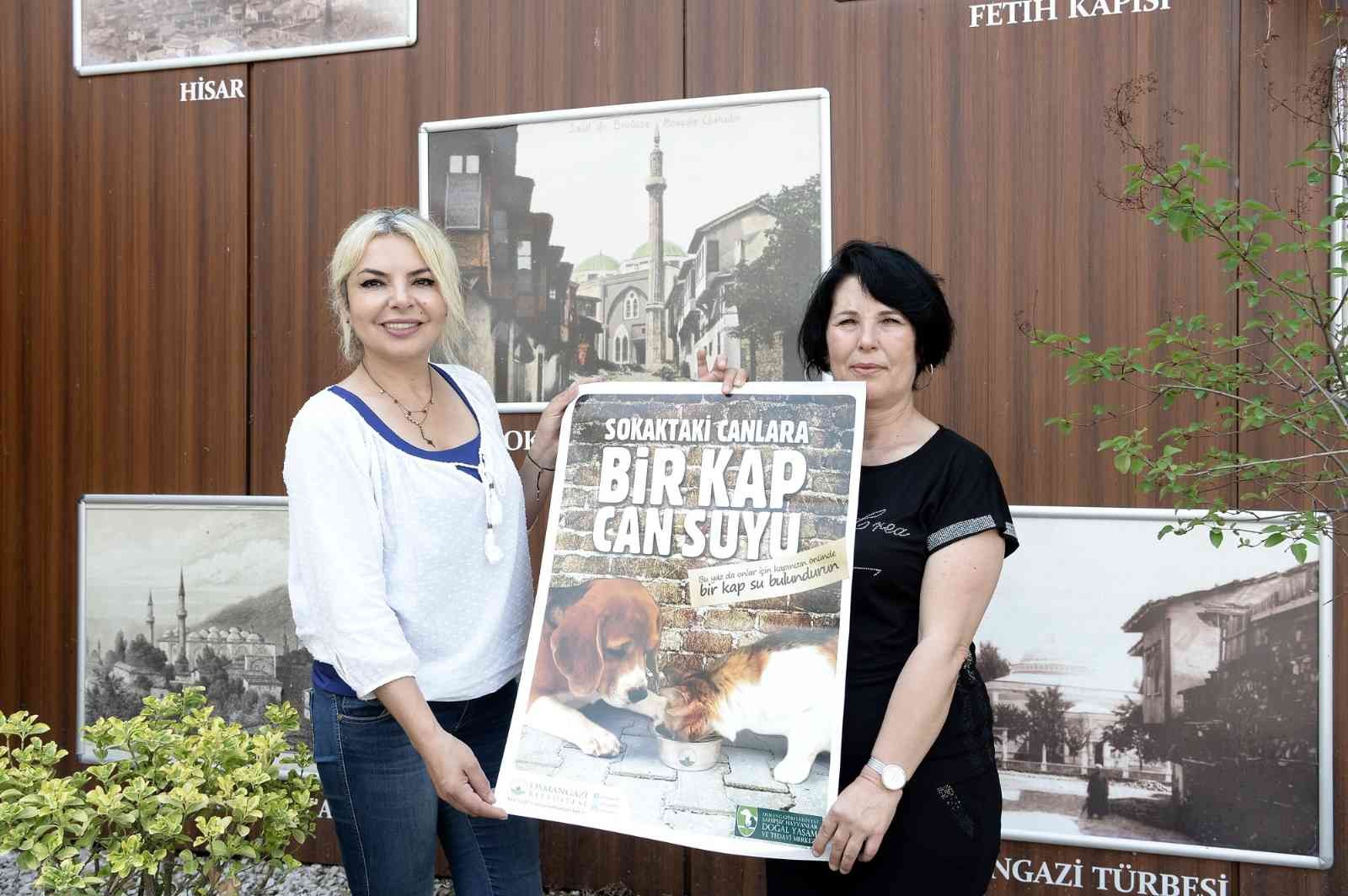 Osmangazide Can Dostlar Emin Ellerde