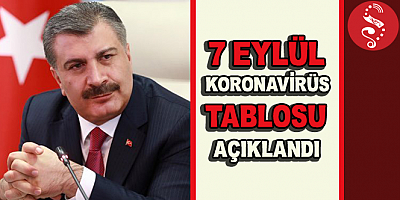 Türkiye'de Son 24 Saat'te 274 Kişi Hayatını Kaybetti