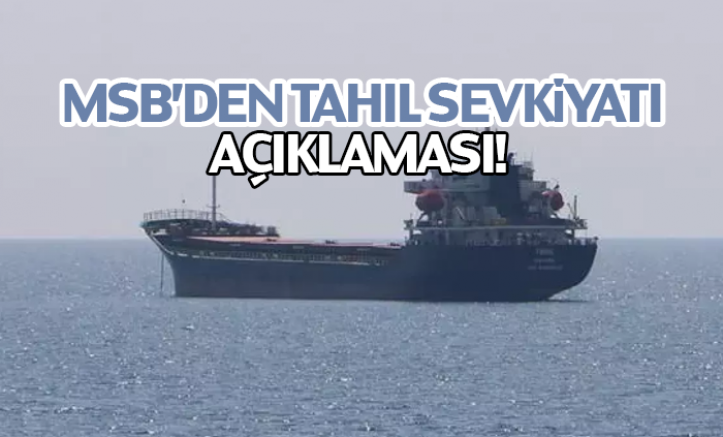 Tahıl yüklü bir gemi daha Ukrayna'dan hareket etti