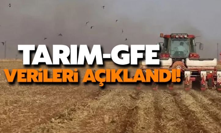 Tarımsal girdi fiyat endeksi açıklandı
