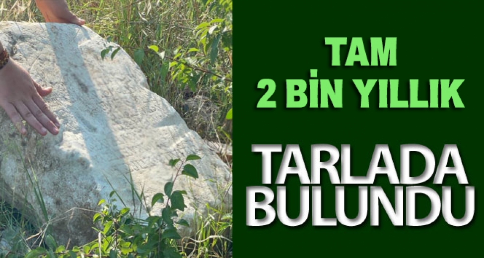 Tarlada 2 Bin Yıllık Kitabe Bulundu