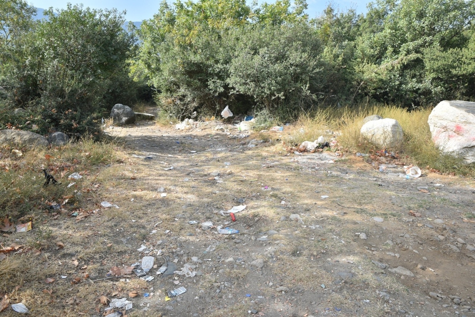 Temiz Çevre İçin Çöp Topladılar