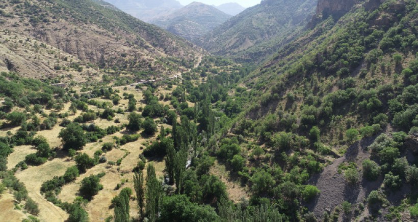 Terör Bitti Köylere Geri Dönüşler Hızlandı