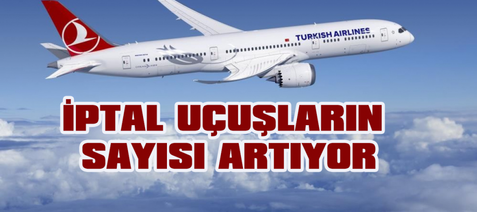 THY'nIn kar nedeniyle iptal seferleri sürekli artıyor