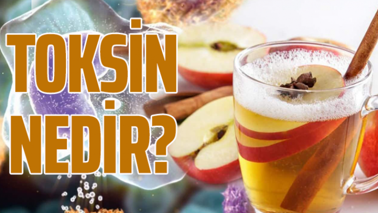 Toksin Nedir?