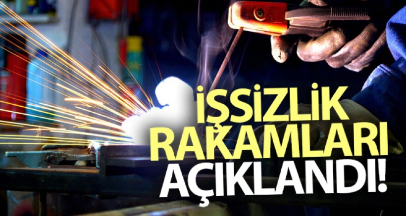 TÜİK İşsizlik Rakamlarını Açıkladı