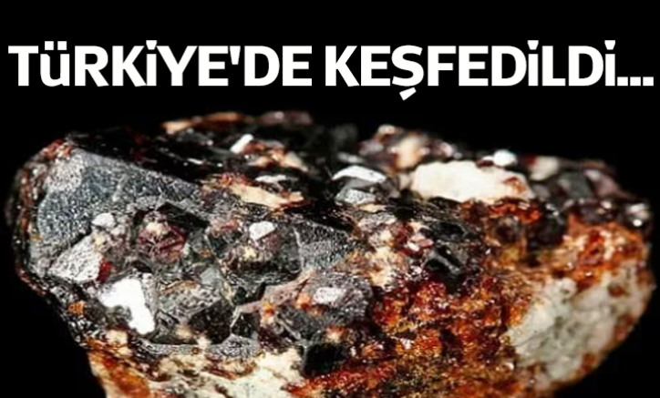 Türkiye'de keşfedildi...