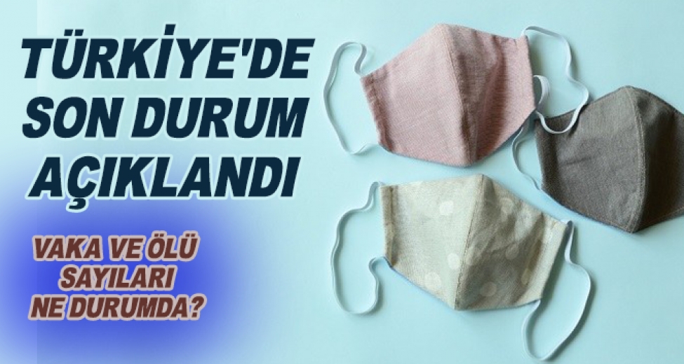 Türkiye'de Son 24 Saat'te 194 Kişi Hayatını Kaybetti