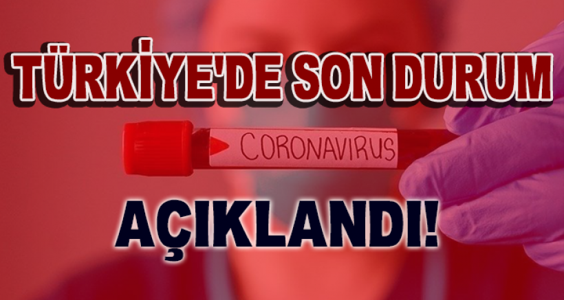 Türkiye'de Son 24 Saat'te 214 Kişi Hayatını Kaybetti