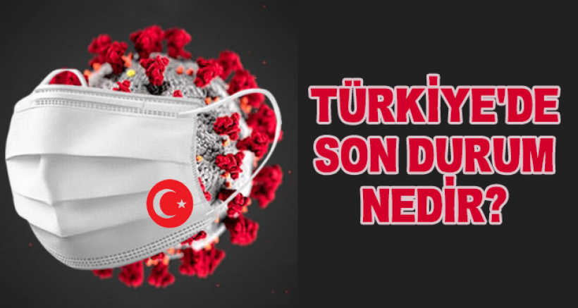 Türkiye'de Son 24 Saat'te 217 Kişi Hayatını Kaybetti