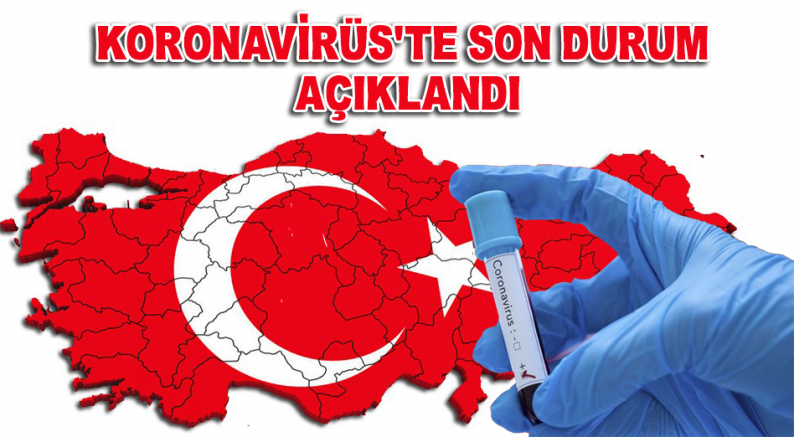 Türkiye'de Son 24 Saat'te 227 Kişi Hayatını Kaybetti