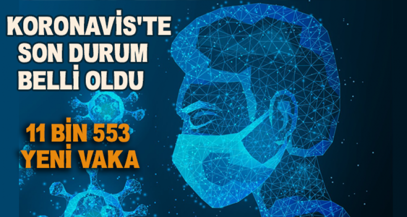 Türkiye'de Son 24 Saat'te 233 Kişi Hayatını Kaybetti