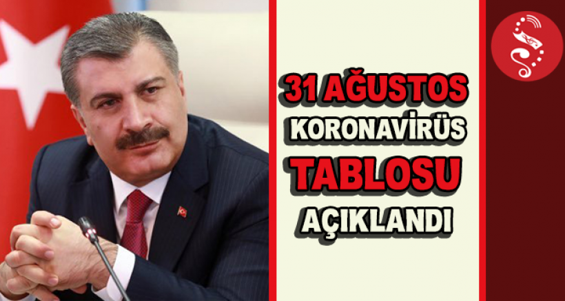 Türkiye'de Son 24 Saat'te 252 Kişi Hayatını Kaybetti