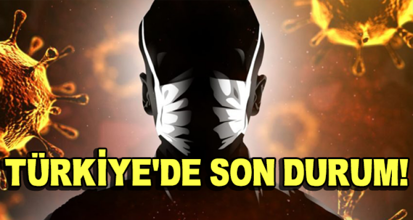 Türkiye'de Son 24 Saat'te 278 Kişi Hayatını Kaybetti
