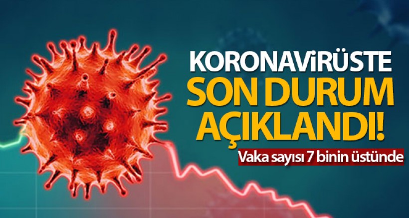 Türkiye'de Son 24 saatte 7.419 Koronavirüs Vakası Tespit Edildi