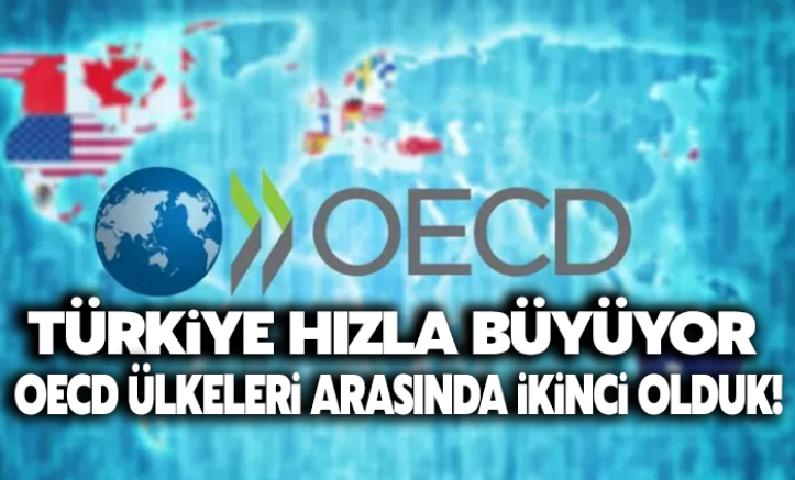 Türkiye hızla büyüyor: OECD' ülkeleri arasında ikinci olduk